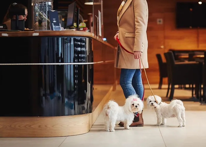 Molo Park Aparthotel Mielno (Koszalin)